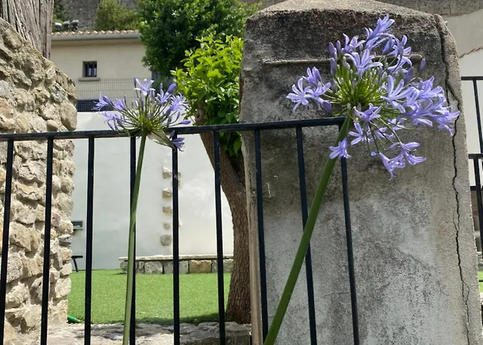 La Maison De La Tour Pinte Carcassonne